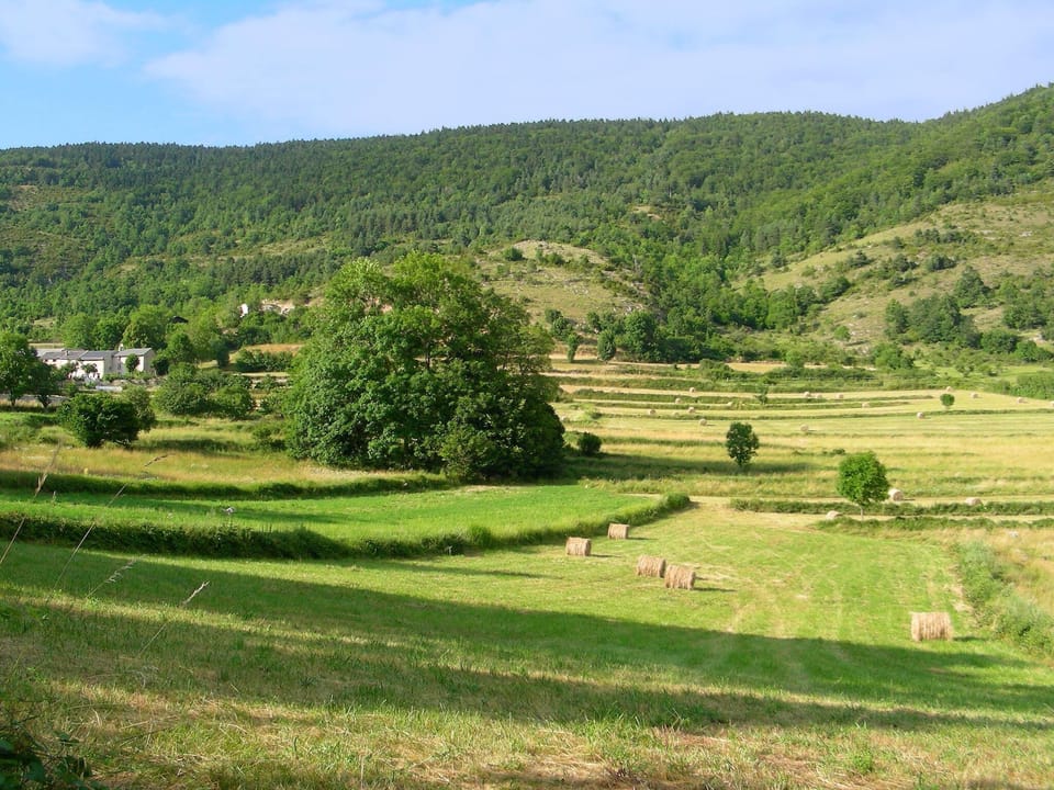 Surroundings [summer] (1-5 km)