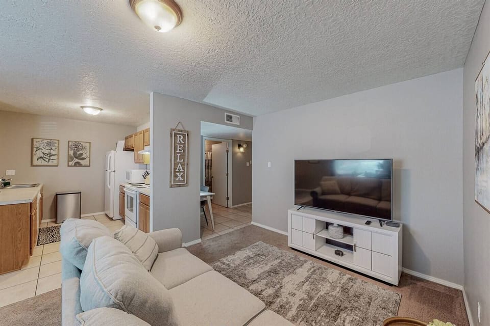 Living room has a couch and 55" smart television.