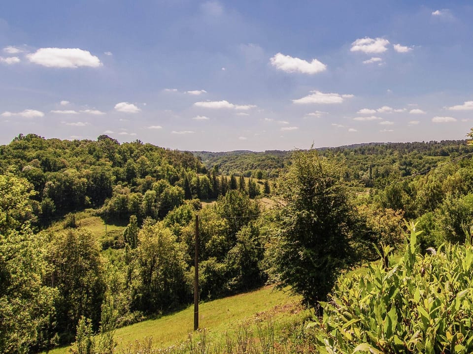 View from Holiday Home [summer]