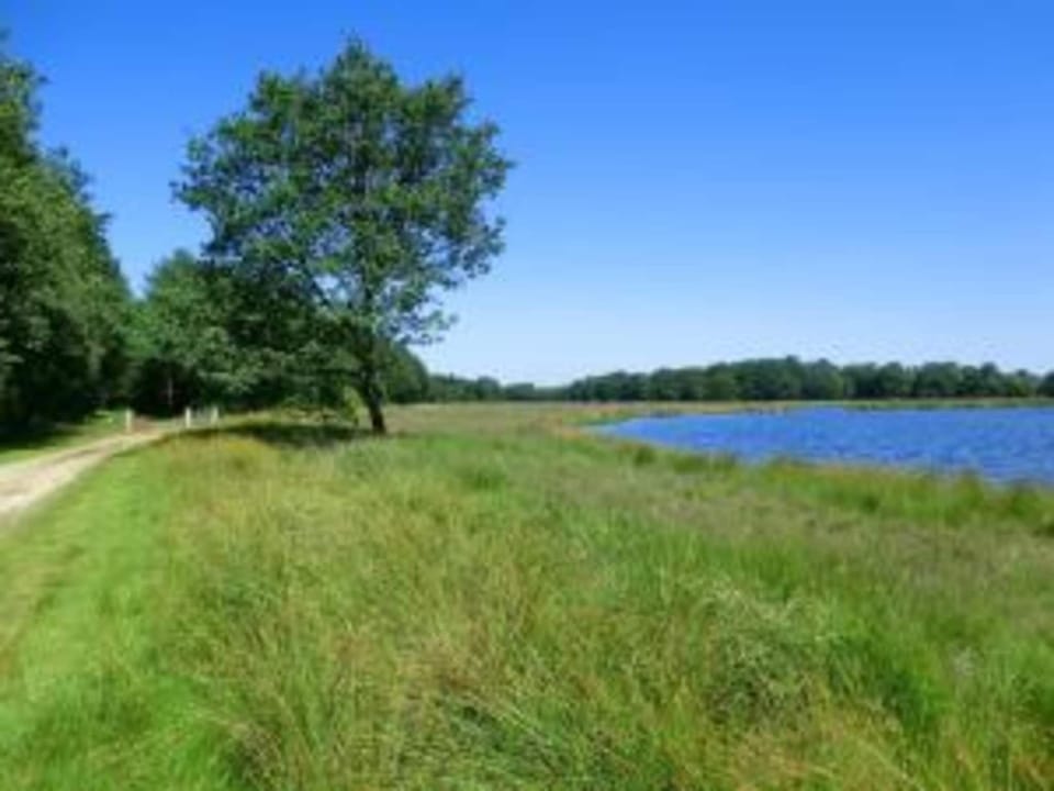 Region [summer] (>5 km)