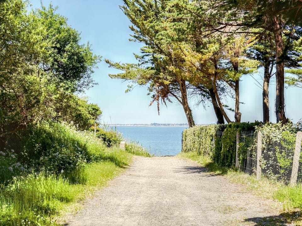 Immediate Surroundings [summer] (<1 km)