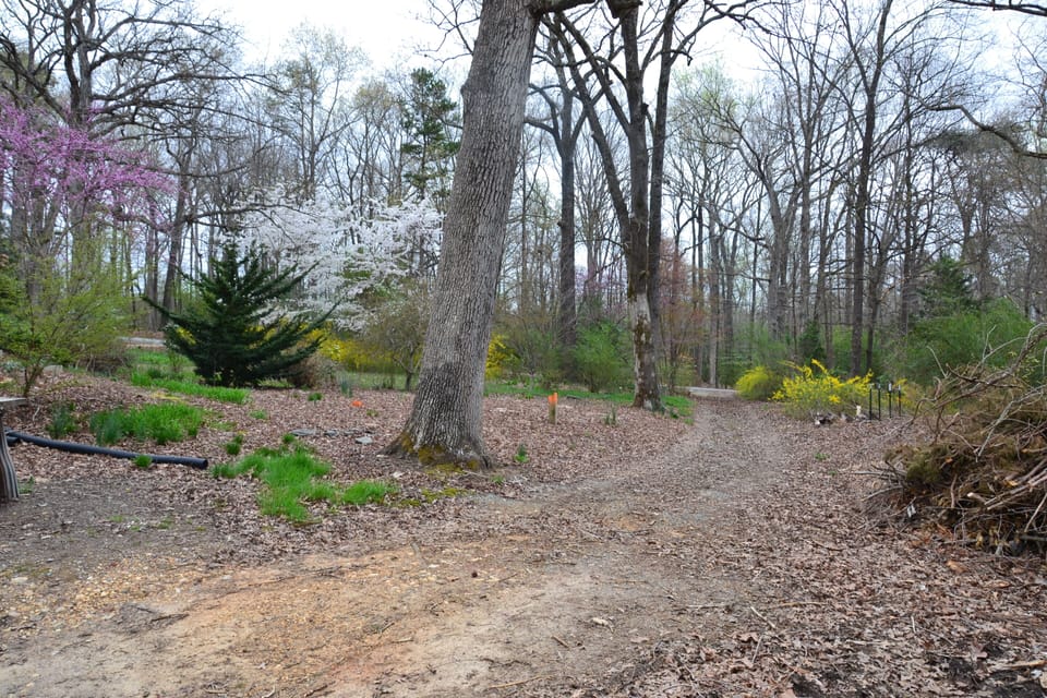 South driveway