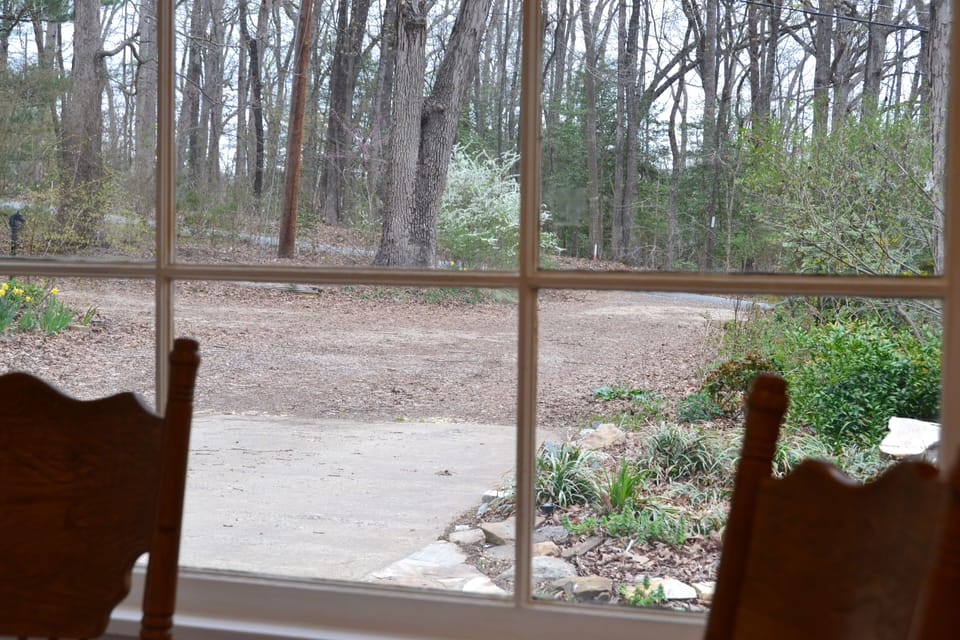 Front driveway from dinning area
