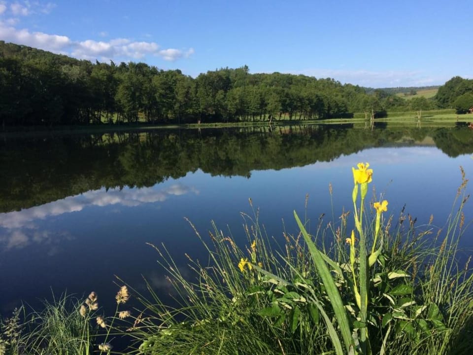 Surroundings [summer] (1-5 km)
