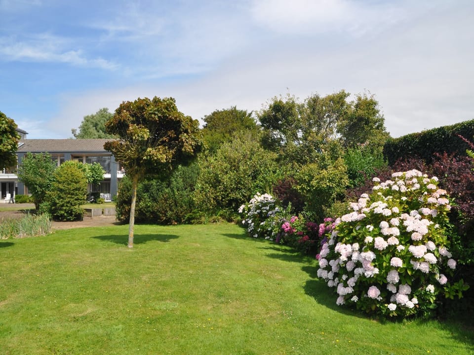 Garden [summer]