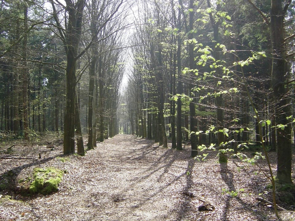 Surroundings [winter] (1-5 km)