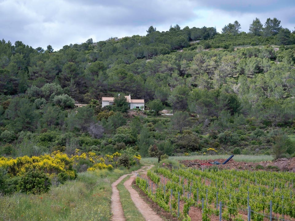 Surroundings [summer] (1-5 km)