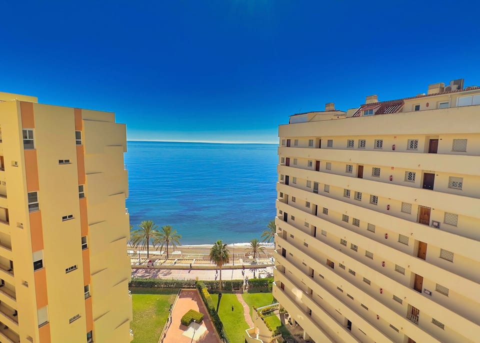 View from the studio