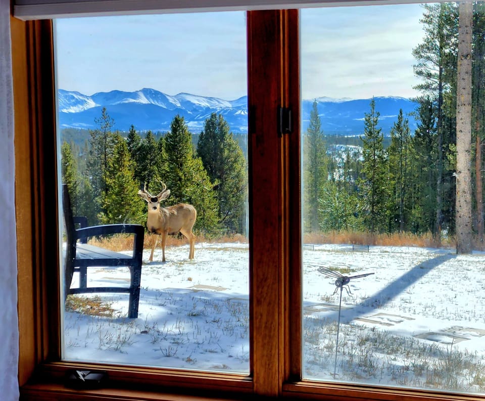 Wake up to this!