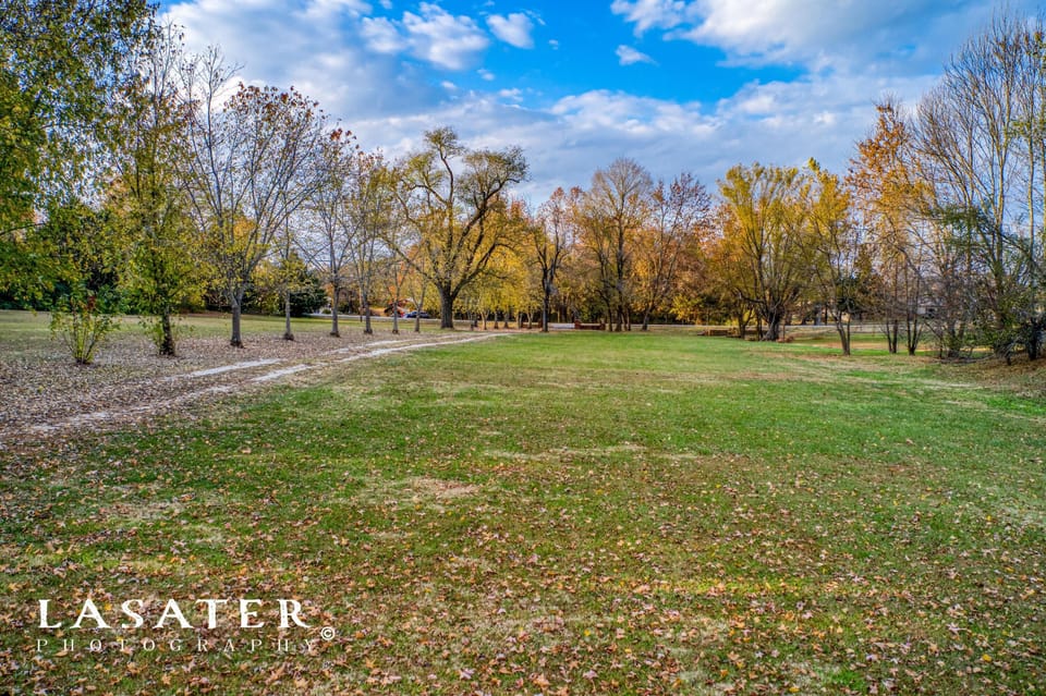Beautiful long driveway along the property
