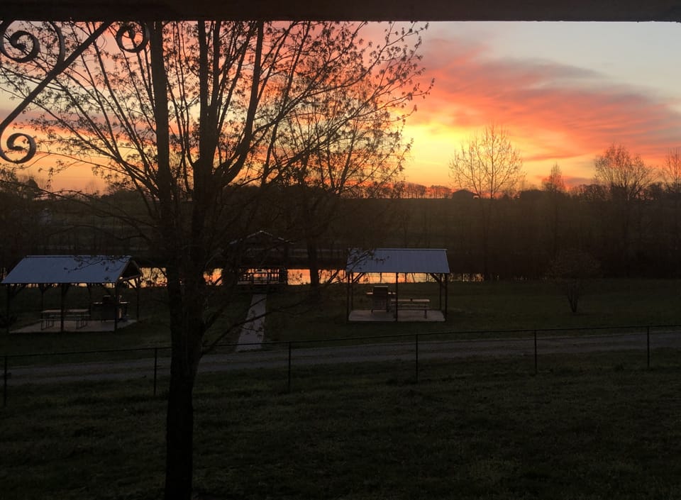 Sunrise over the large pond on the 10 acre property. Breathtaking!
