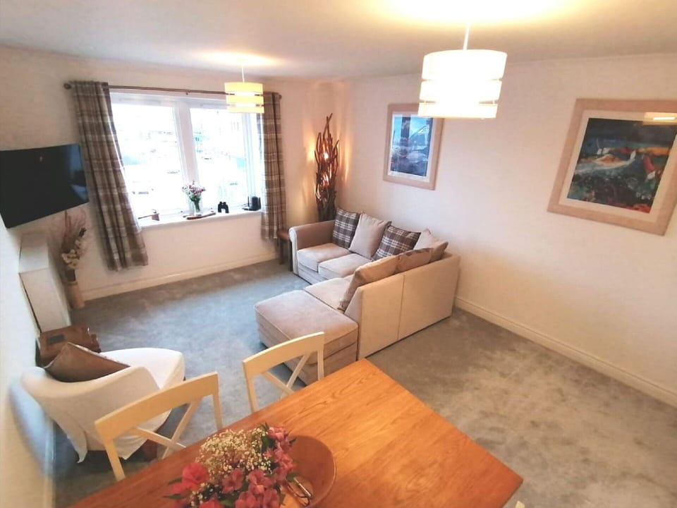 Picture Frame, Furniture, Property, Table, Wood, Comfort, Couch, Window, Interior Design, Houseplant