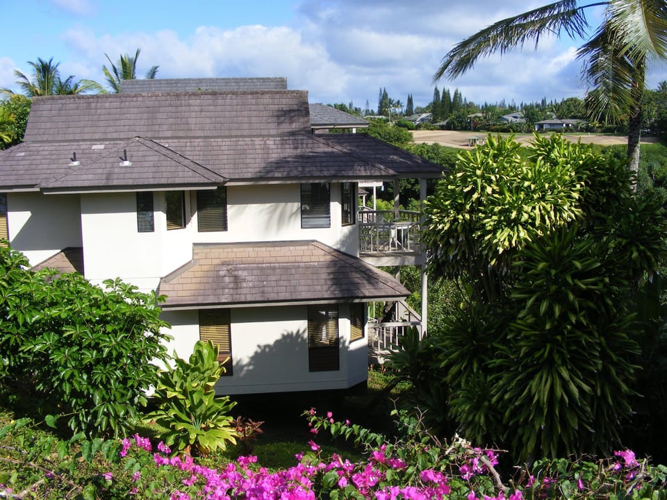 Side view