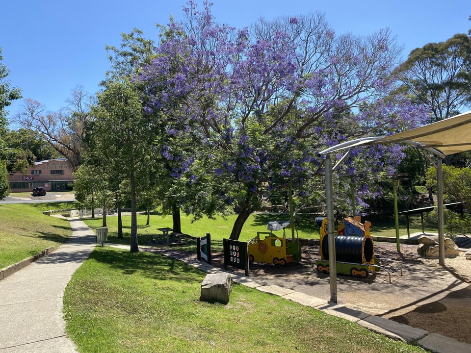 Walk to the Park