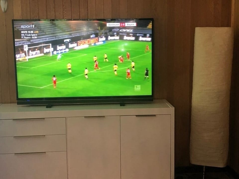 Television