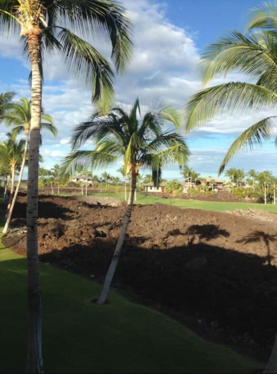 Palm trees abound.