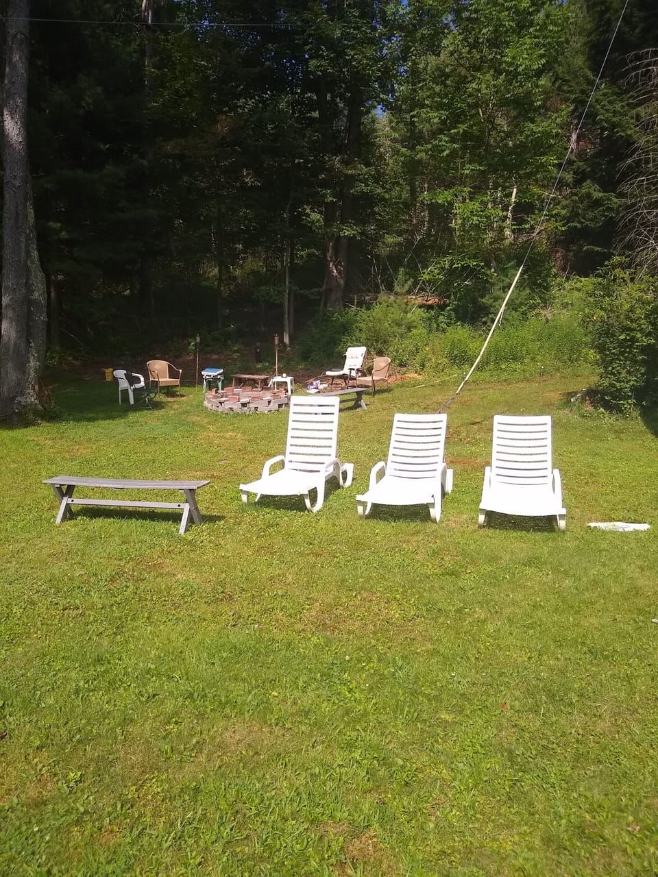 Back yard