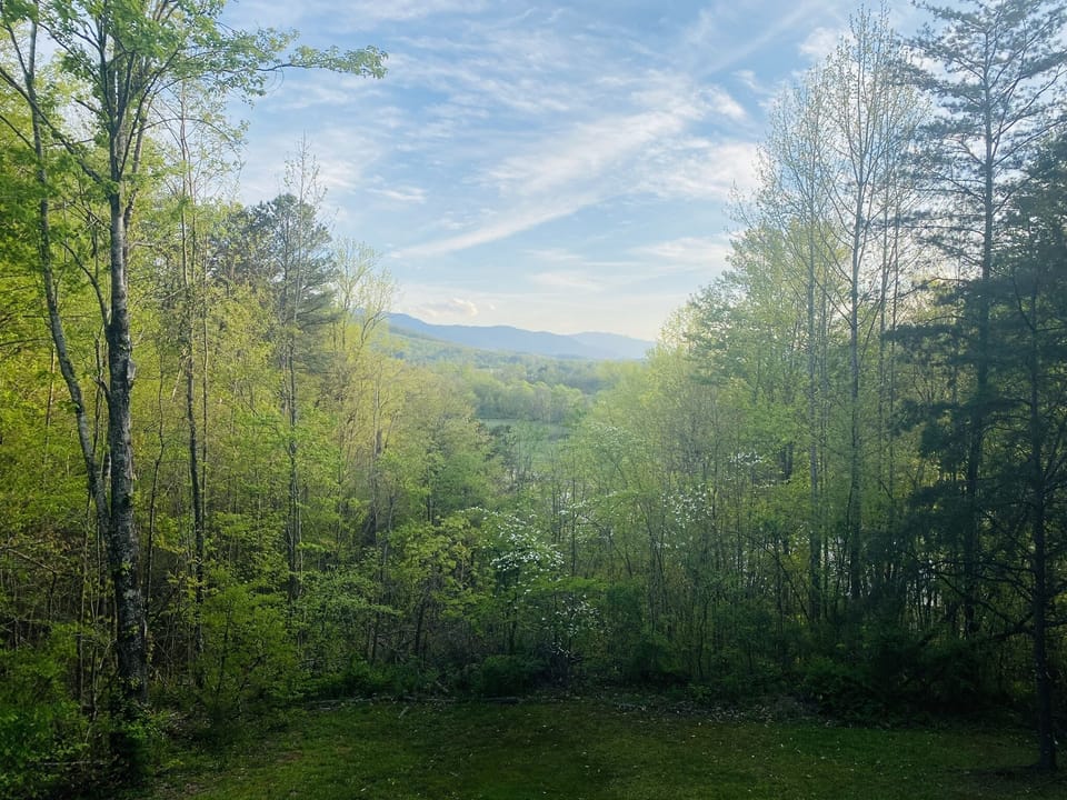 Spring mountain view