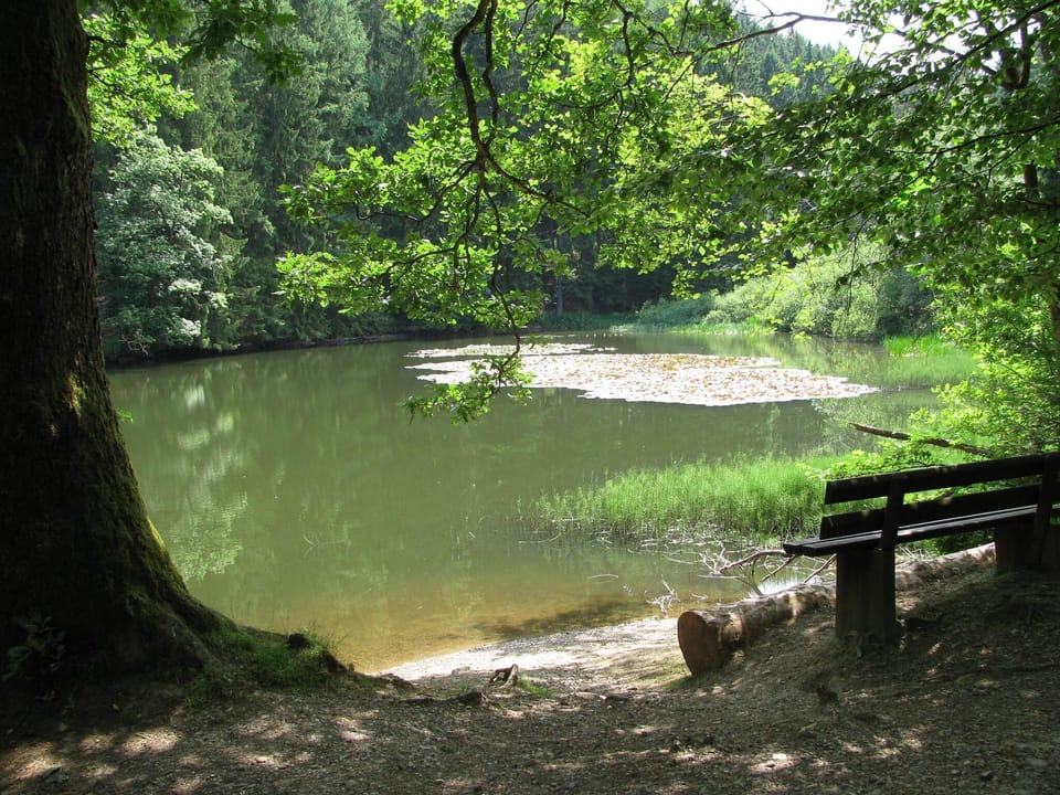 Surroundings [summer] (1-5 km)