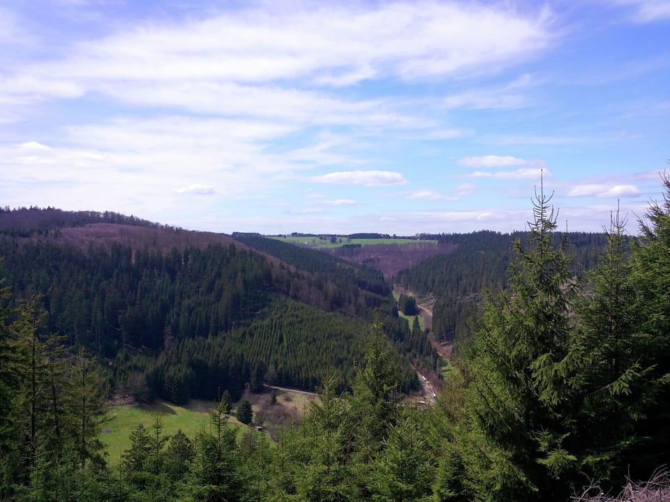 Immediate Surroundings [summer] (<1 km)