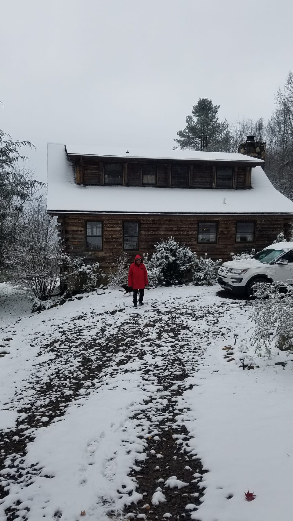 CABIN IN SNOW