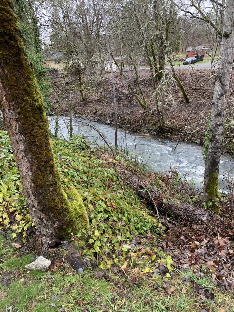 Soldier Creek