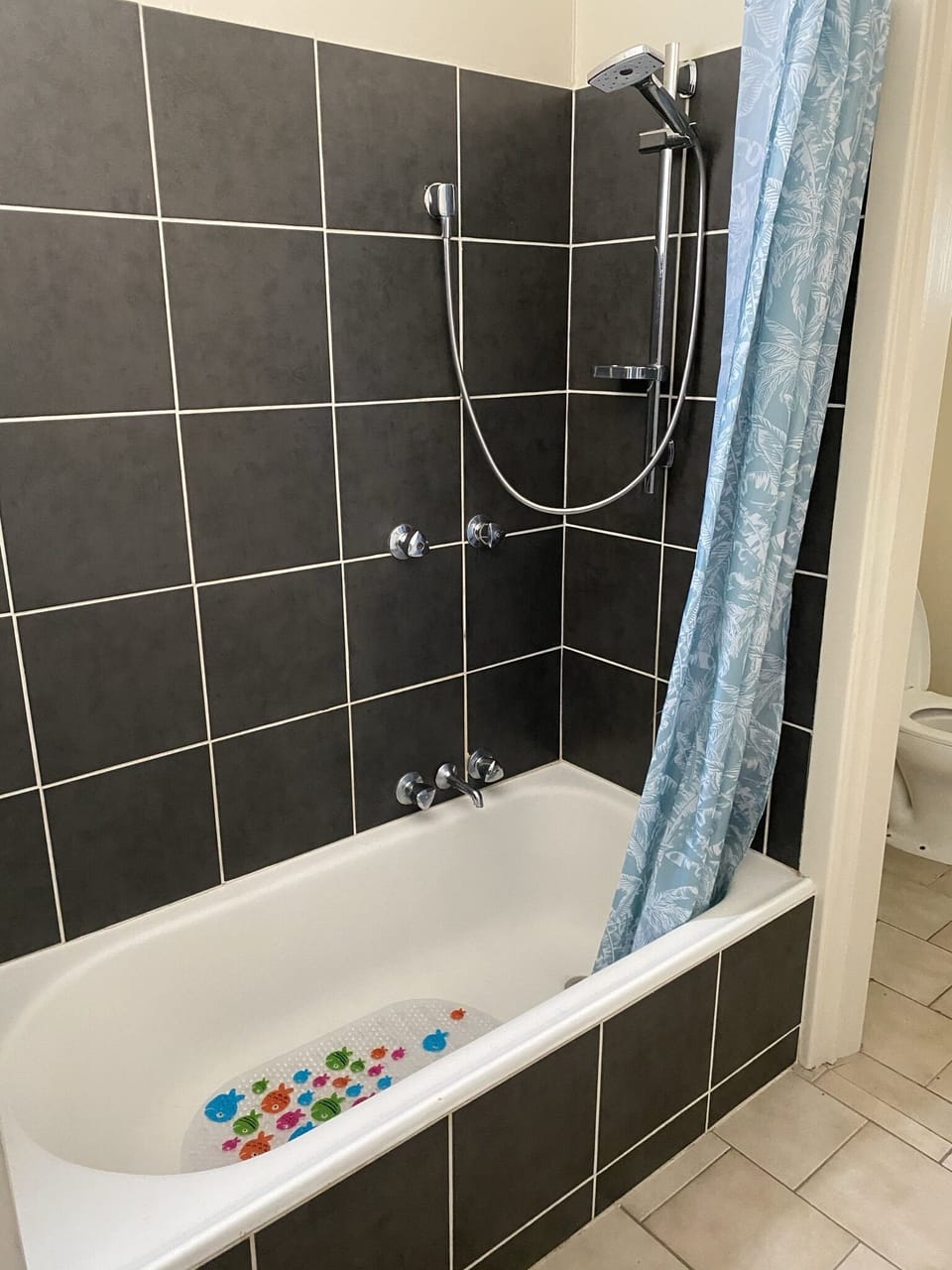 Bathroom - shower over bath 