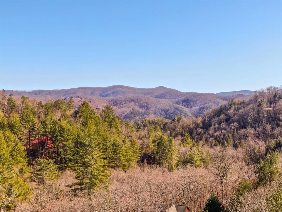 Drone shot of the cabin surroundings