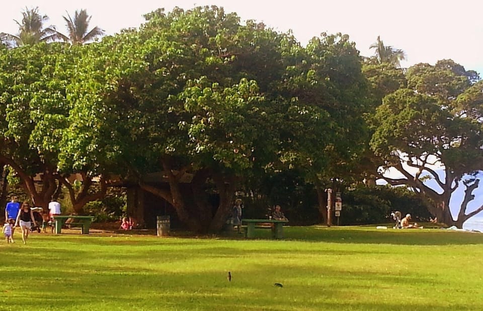 Honokowai Beach Park