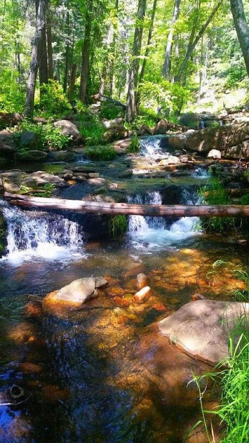 Spend the day fishing for trout- stocked all year long!