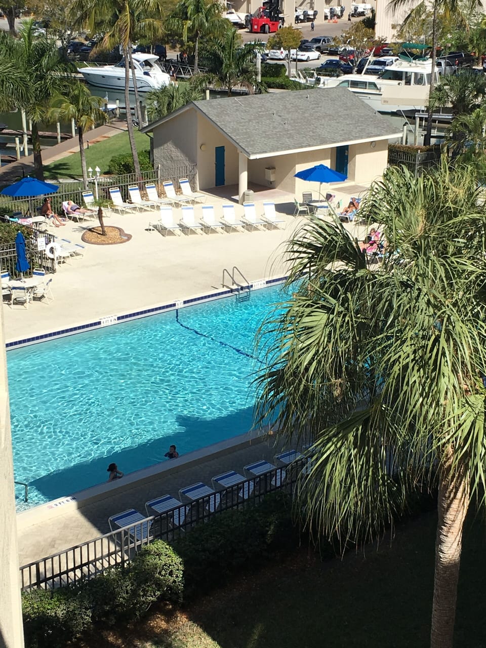 Paradise on the property