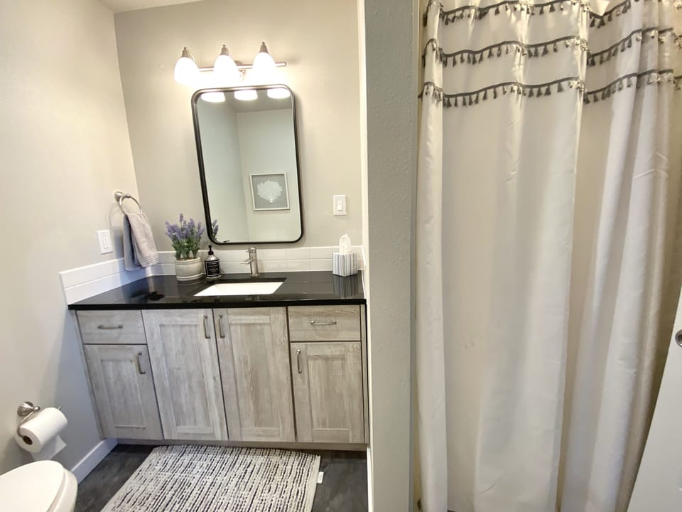 Downstairs master bathroom with shower 