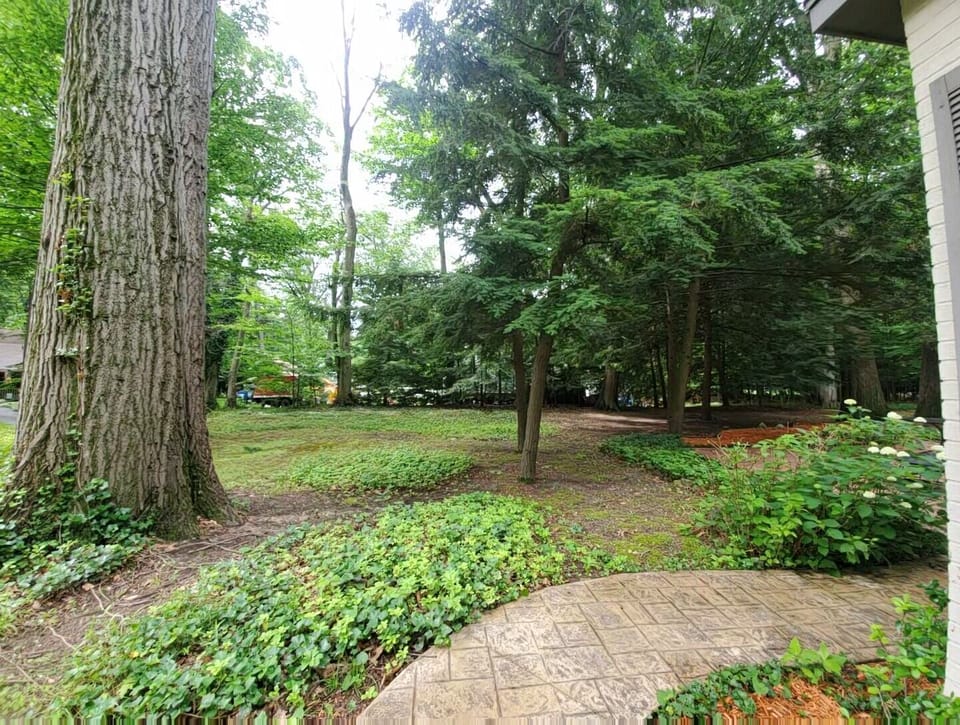 House sits up on a hill so the yard is a private sanctuary