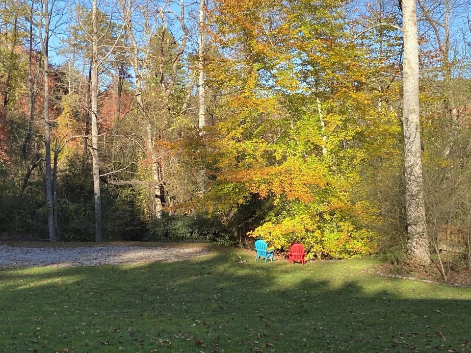 Fall views 