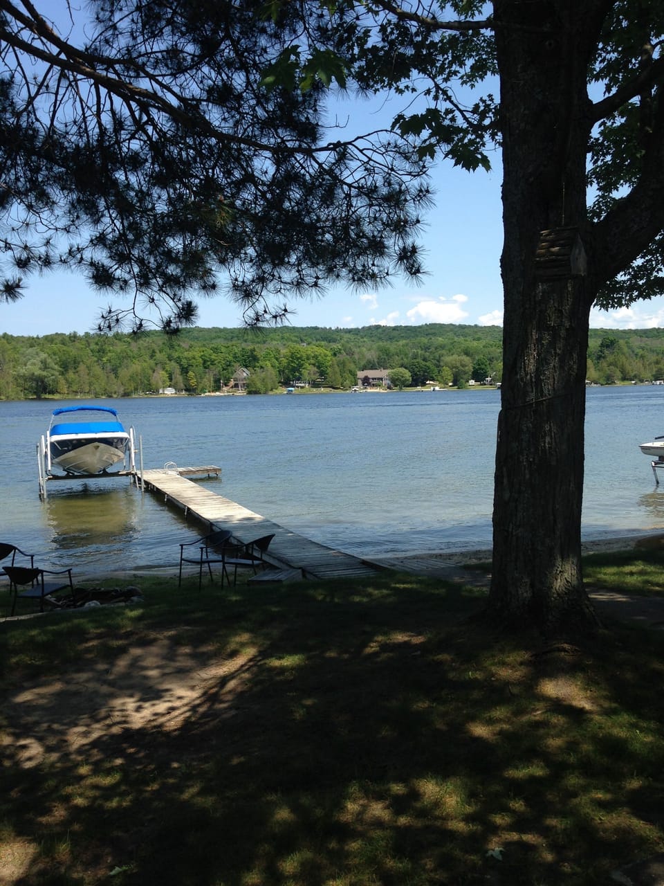 View from north side of property to lake.