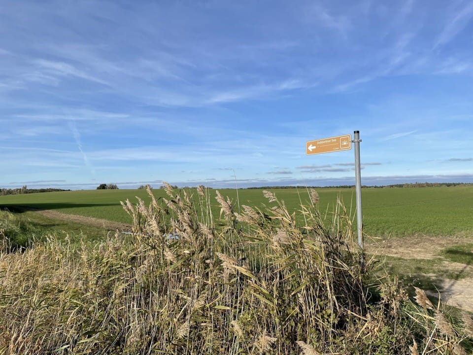 Sky, Cloud, Plant, Natural Landscape, Grass, Cumulus, Agriculture, Road, Plain