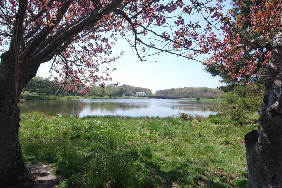 Amenity,Lake Gerar,