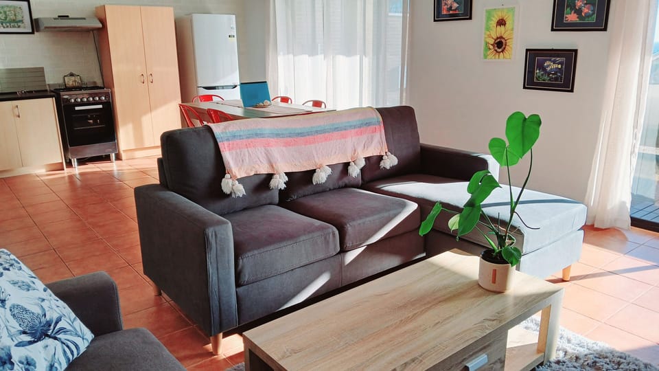Lounge and double sofa bed in the lounge room, split system air con and fan.