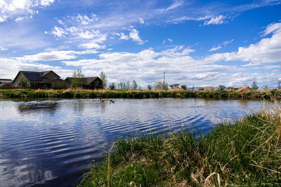 Ponds throughout the neighborhood and walking trails.