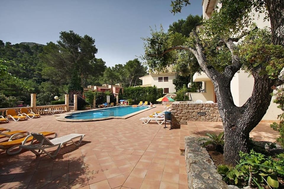 Pinos Altos 09 (T1) - Olivo, Cala Sant Vicenç (2)
