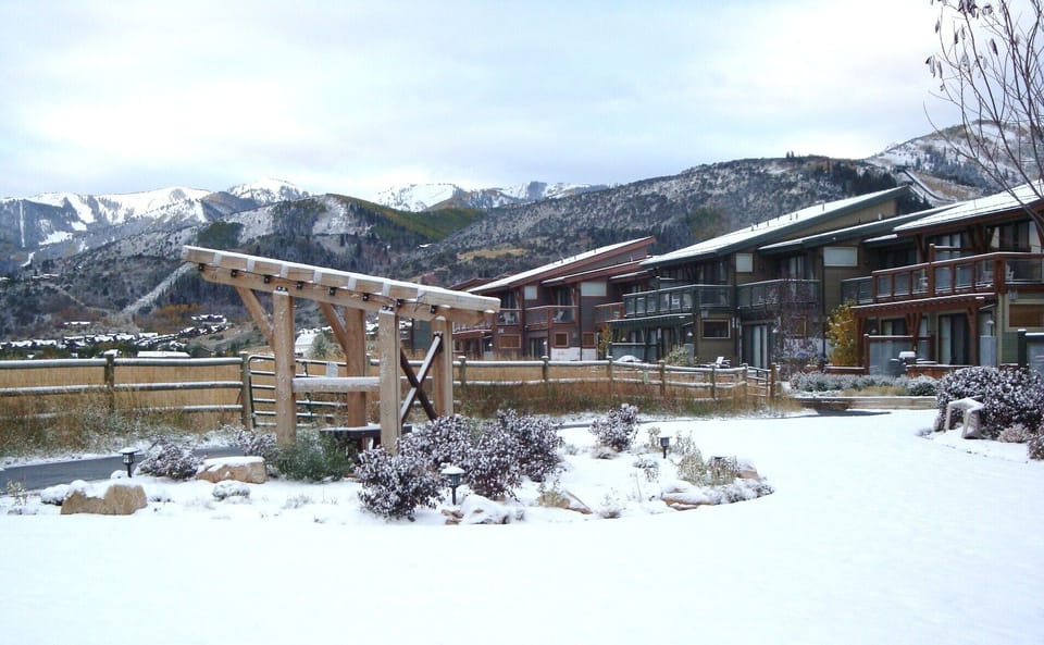Newpark in Winter