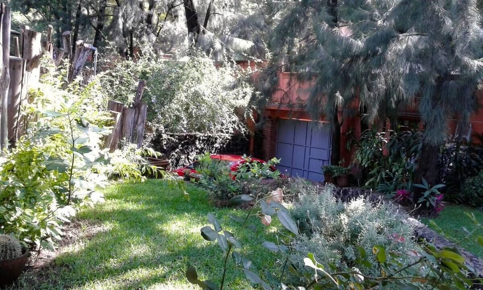 Peaceful lush garden 

