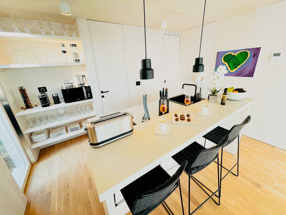 This is the modern kitchen with a modern equipment