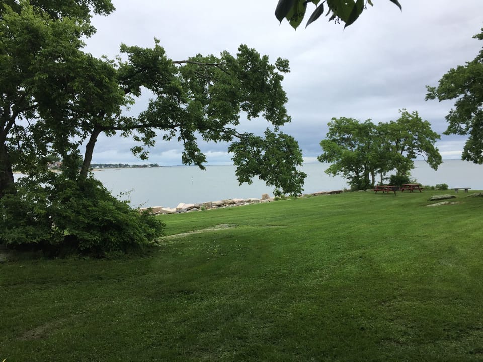 Chaffinch Island Park