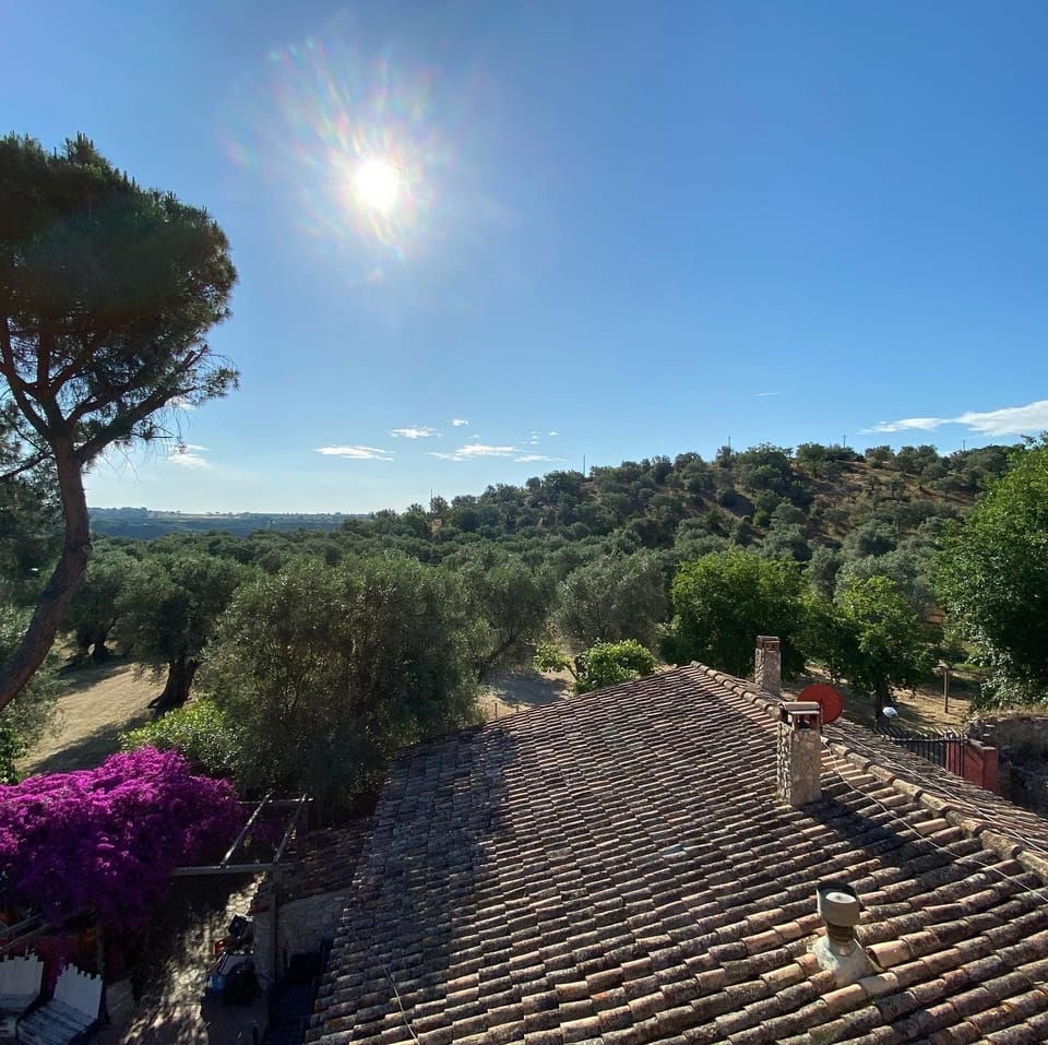 View from property