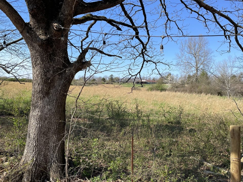 Peaceful view from back porch. Sometimes donkeys come to visit