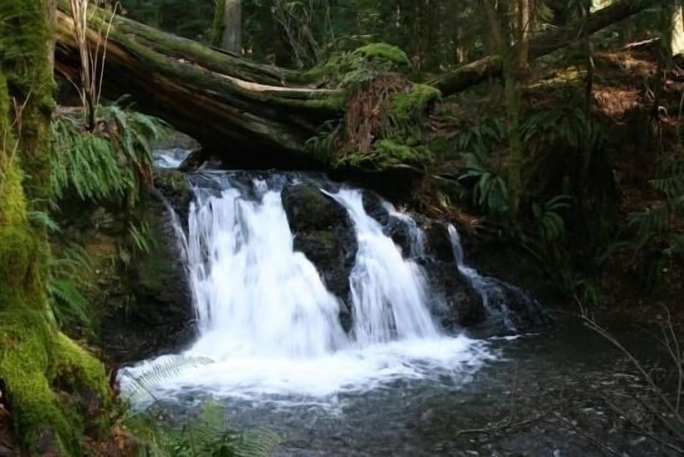 Moran State Park .. take a hike!