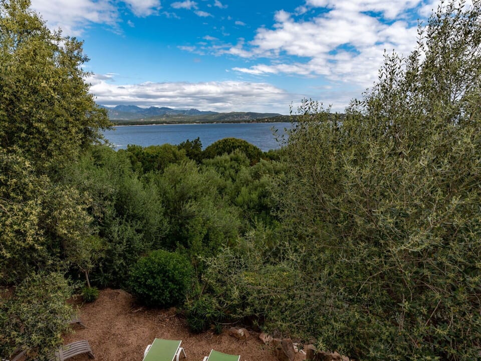 Cloud, Sky, Water, Plant, Water Resources, Plant Community, Natural Landscape, Vegetation, Land Lot, Tree