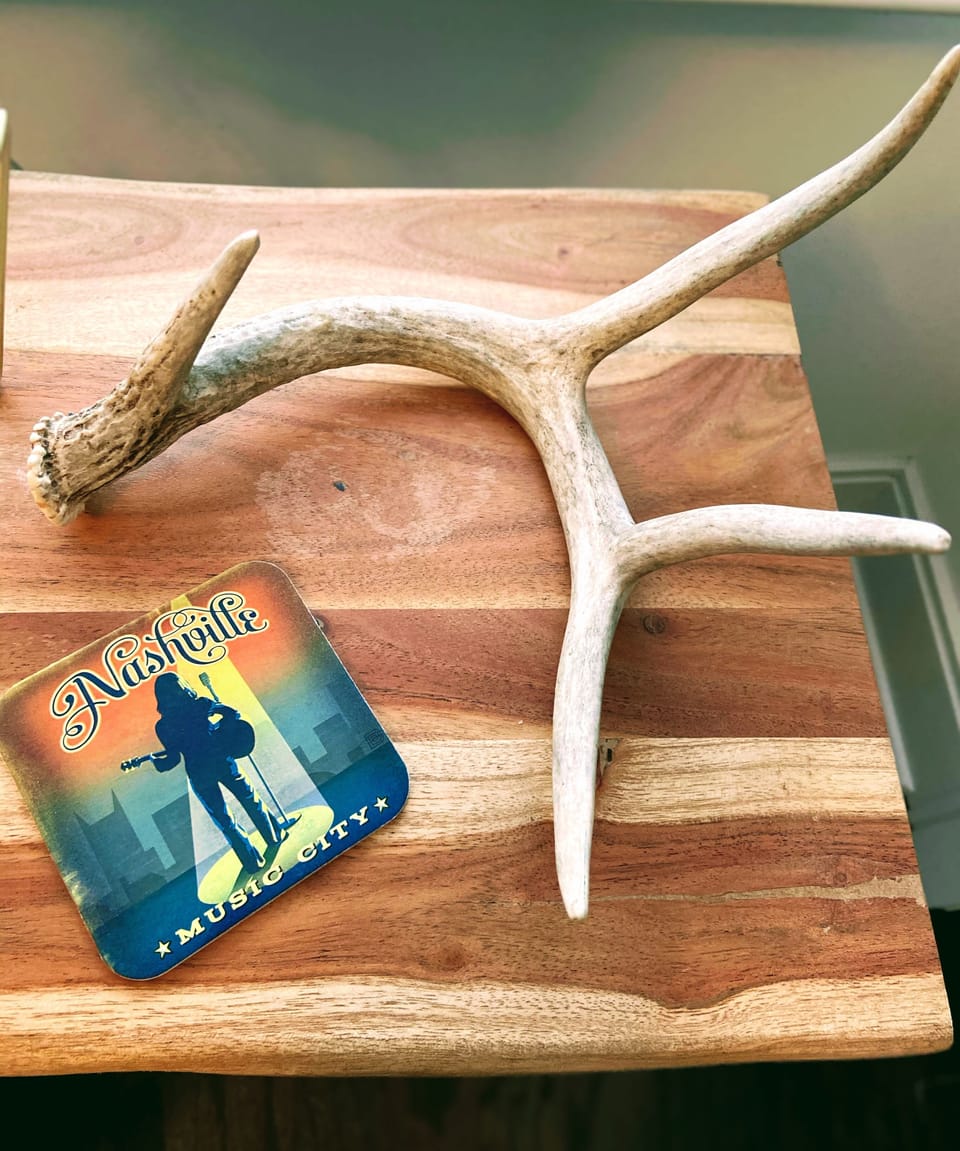 Antlers that belonged to my father from a hunting expedition many years ago. 
