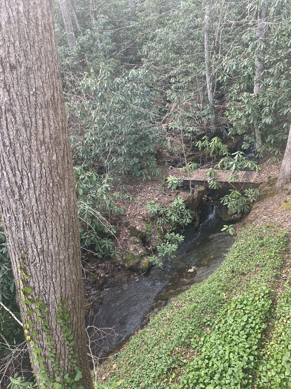 Creek with small waterfall in back yard